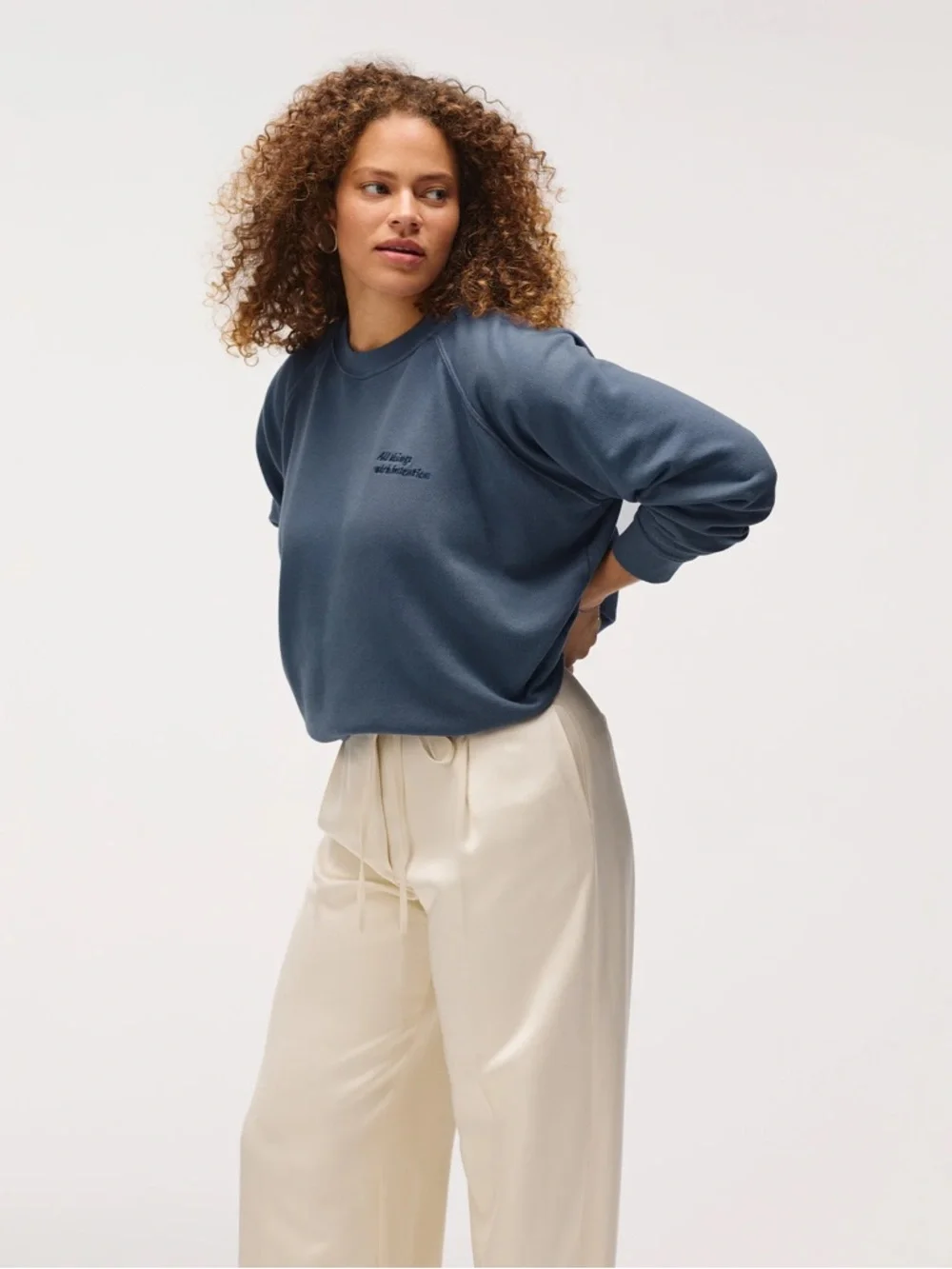 DONNI. Blue Crewneck Sweatshirt -brand new w tag. Limited made. - Picture 3 of 12